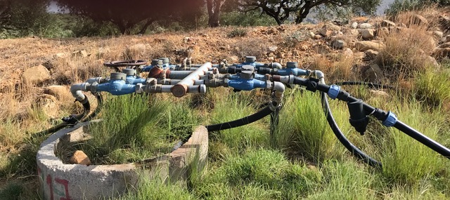 Irrigation distribution by Ian Kent Author
